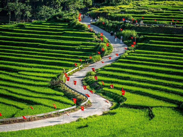 Pù Luông Thanh Hóa ruộng bậc thang
