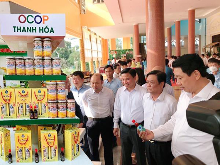 Top sản phẩm OCOP Thanh Hóa 5 sao và 4 sao đáng tham khảo