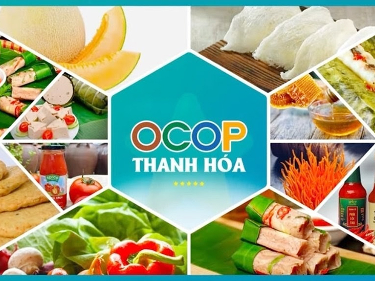 Top sản phẩm OCOP Thanh Hóa 5 sao và 4 sao đáng tham khảo